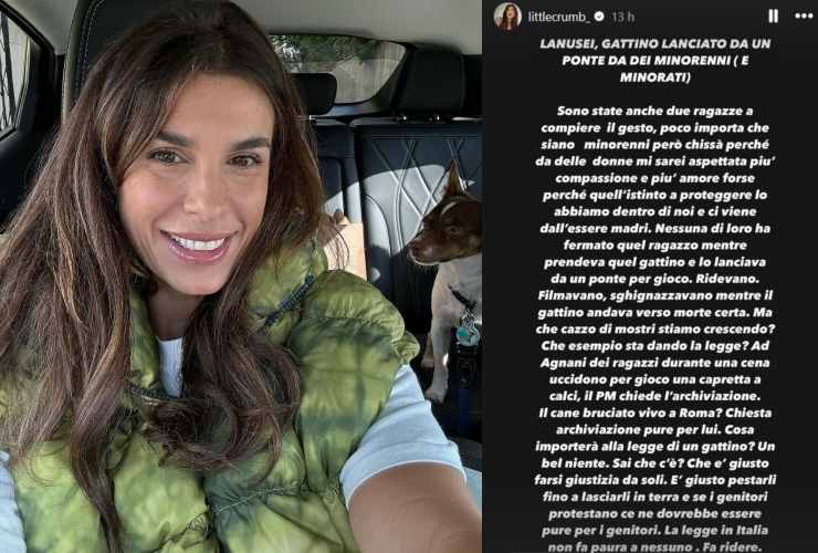 Elisabetta Canalis denuncia maltrattamenti animali 