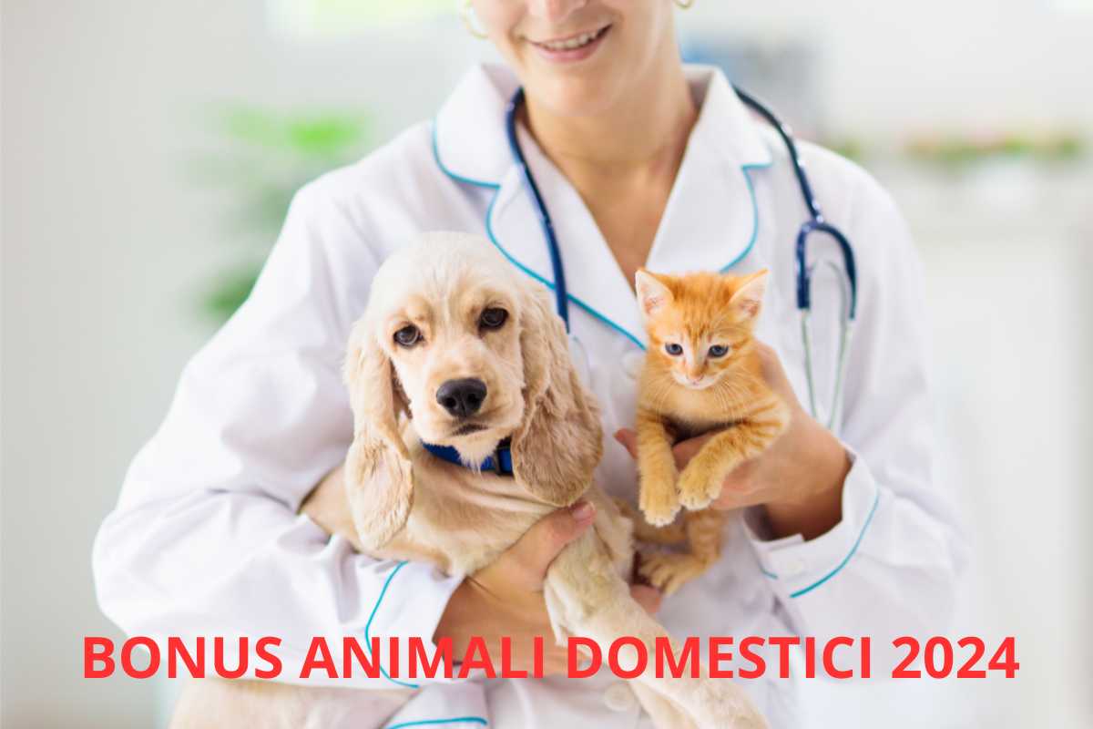 Scopri il bonus animali domestici 2024,