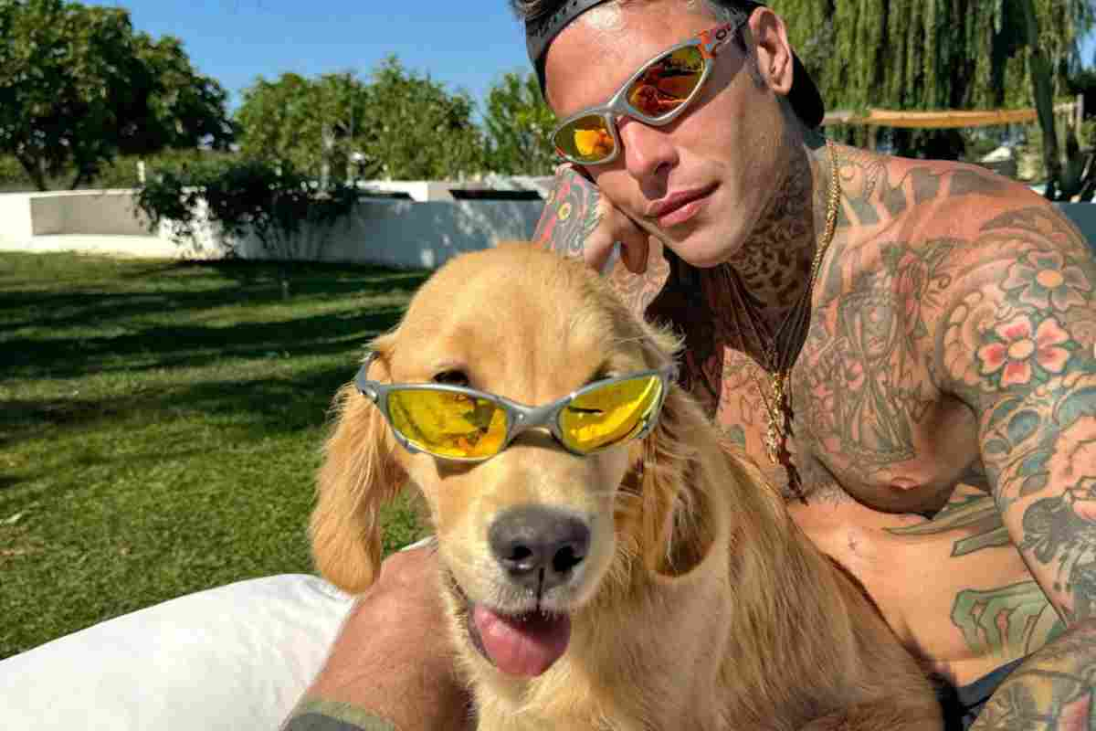 Il cane di Fedez si chiama come il nuovo compagno di Chiara? 