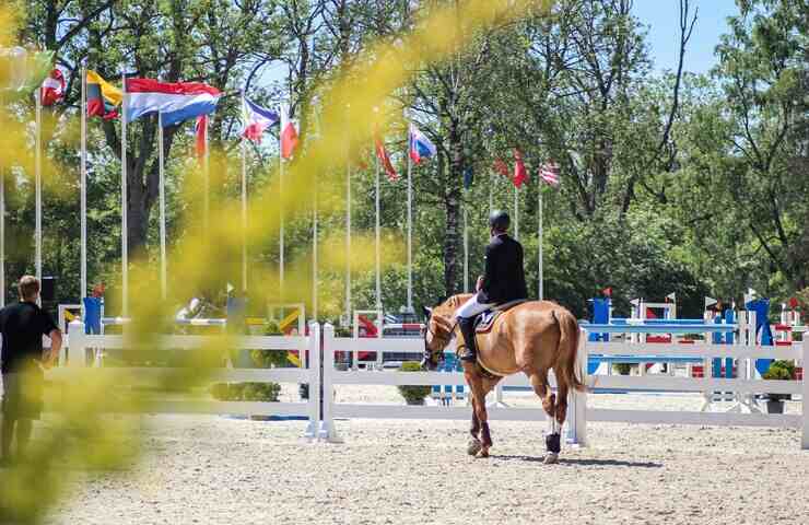 cavallo in campo gara con cavaliere