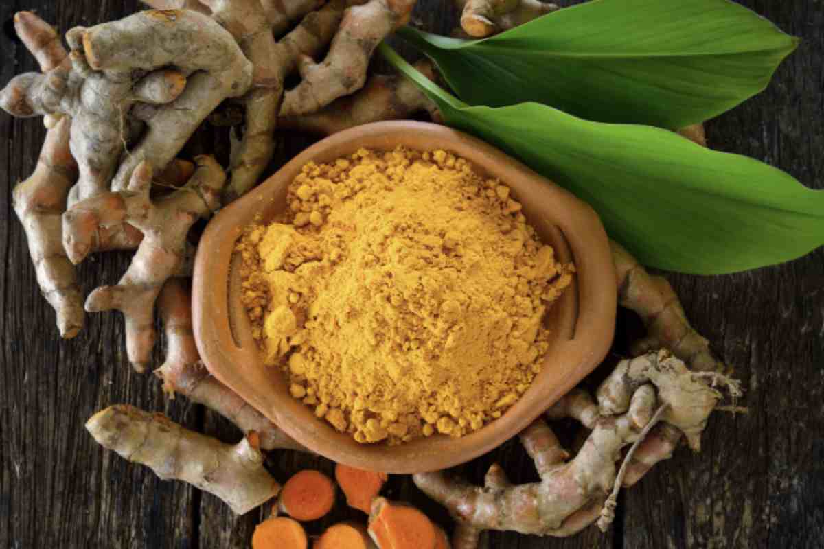 Curcuma