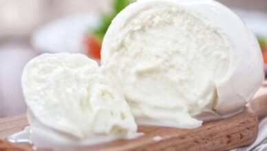 Tradizione mozzarella di bufala