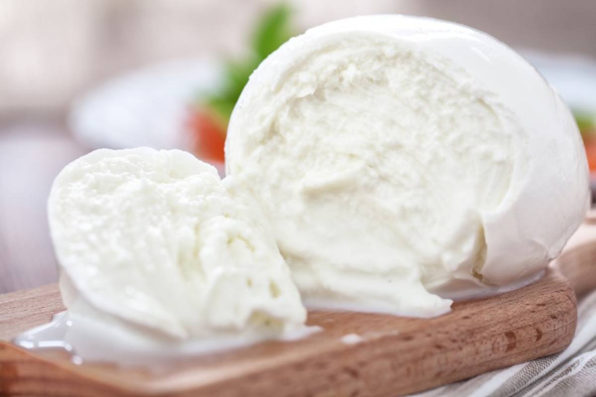 Tradizione mozzarella di bufala