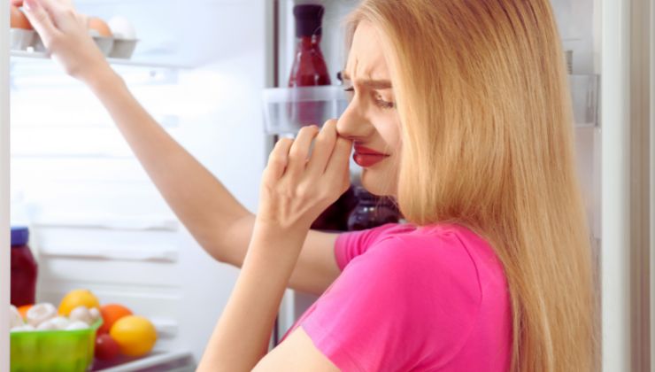 Cattivi odori in frigo, il trucco magico