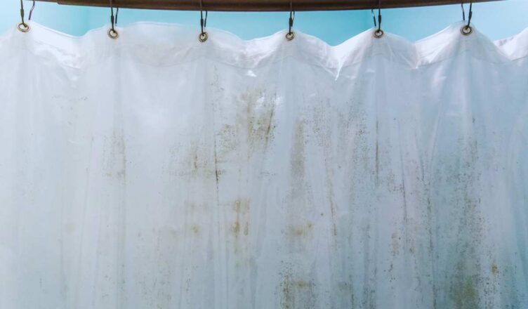 come togliere la muffa dalla tenda della doccia