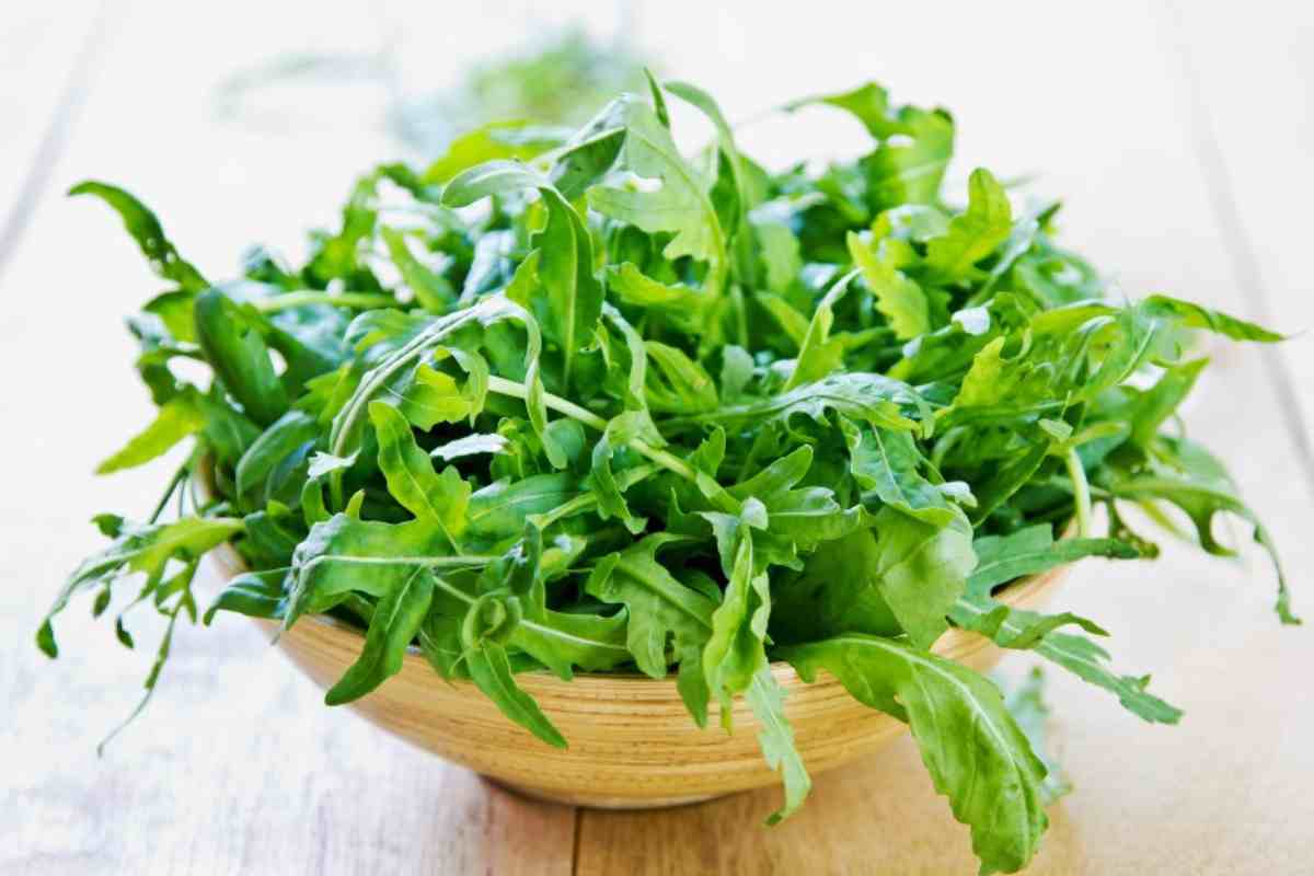 Proprietà rucola