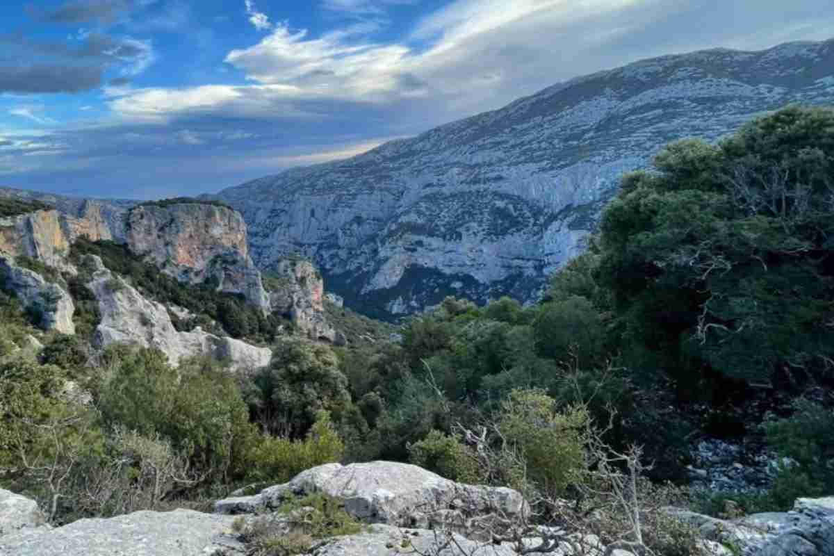 La bellezza della natura 