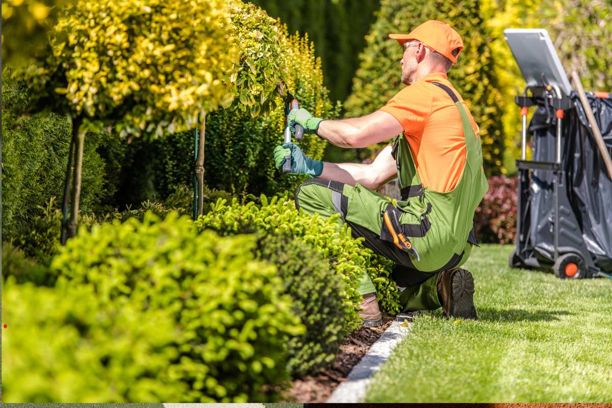 La città investe nel verde