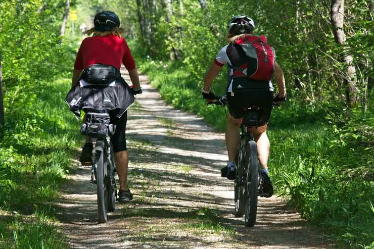 Due persone vanno in bici in un bosco